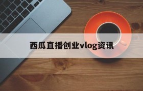 西瓜直播创业vlog资讯(西瓜视频里的vlog是哪个平台的)