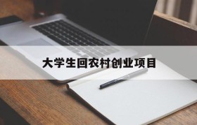 大学生回农村创业项目(大学生回村创业有扶持吗)