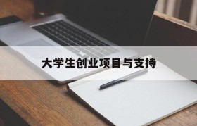 大学生创业项目与支持(企业支持大学生创业项目)