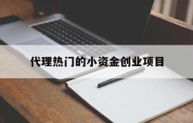 代理热门的小资金创业项目的简单介绍