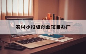 农村小投资创业项目办厂的简单介绍