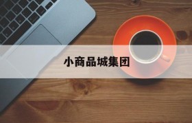 小商品城集团(小商品城集团股份有限公司)