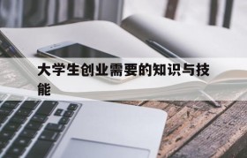 大学生创业需要的知识与技能(你认为大学生创业需要培养哪些技能)