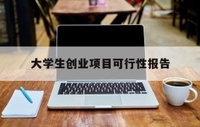 大学生创业项目可行性报告(大学生创业项目可行性研究报告)