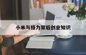 小米与格力背后创业知识的简单介绍