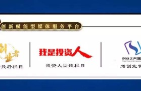 创业知识产权收入(知识产权行业赚钱吗)