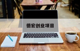 德宏创业项目(德宏产业投资有限公司)