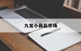 九龙小商品市场(九龙小商品市场未来规划)