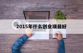 2015年什么创业项目好(2015年适合农村的创业项目有哪些)