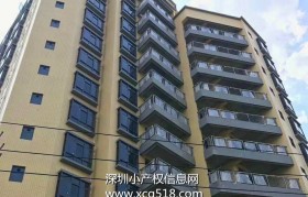 东莞小商品房(东莞小户型房屋出售)