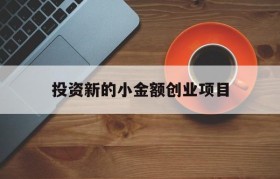 关于投资新的小金额创业项目的信息