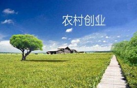 养殖农村创业项目(养殖农村创业项目有哪些)