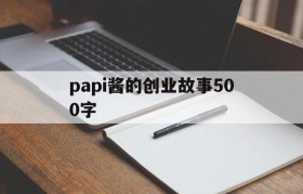 关于papi酱的创业故事500字的信息