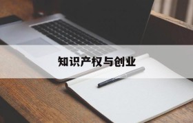 知识产权与创业(创业企业与知识产权实务)