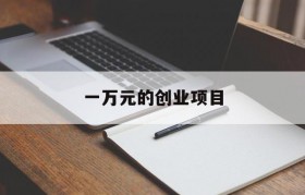 一万元的创业项目(一万元的创业项目有哪些)