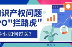 创业初期知识产权管理目的(对于初创企业来说知识产权管理的目标和核心是什么)