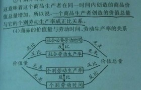 政治第二课创新创业无止境知识点(大学生创新创业智慧树第三章知识点总结)