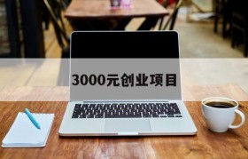 3000元创业项目(3000元投资创业项目)