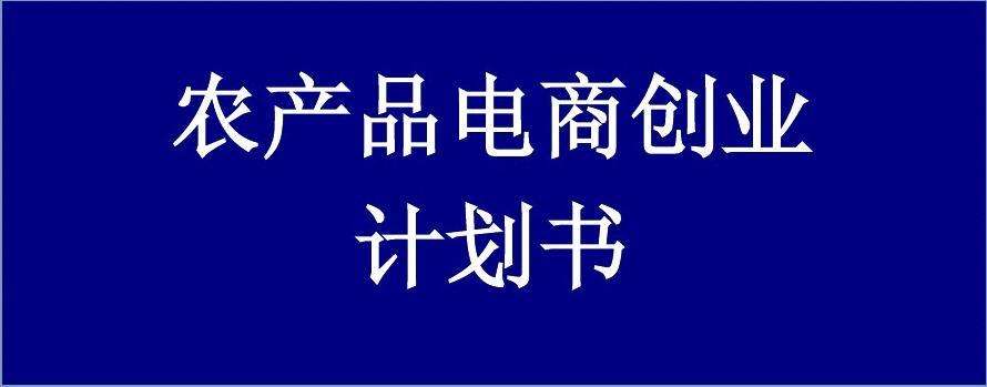 网上创业项目策划书的简单介绍