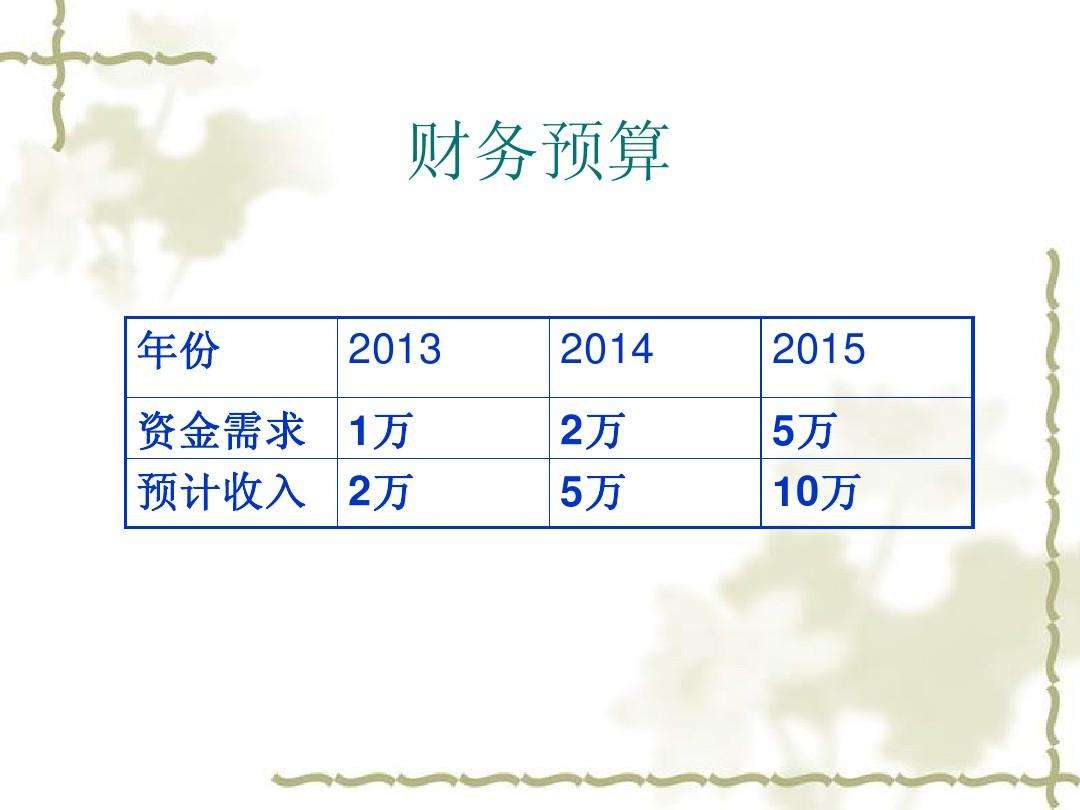 创业项目财务预算模板(创业计划书经费预算模板)