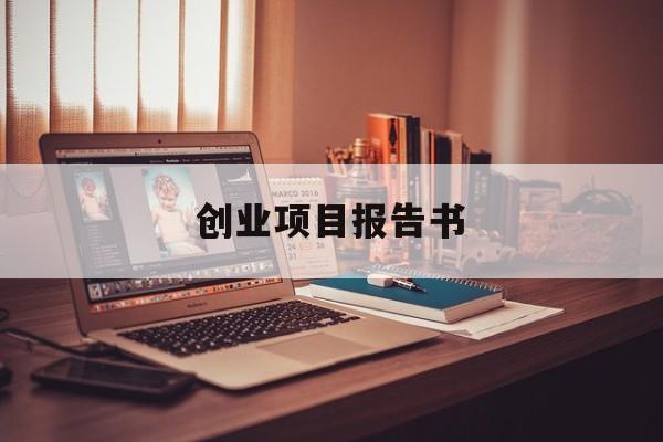 创业项目报告书(创业项目报告书范文)