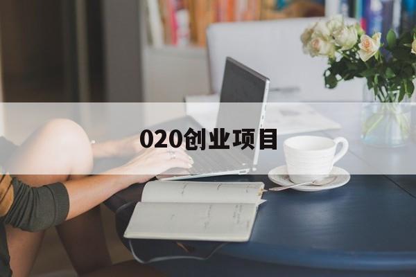 020创业项目(020电商创业机会)