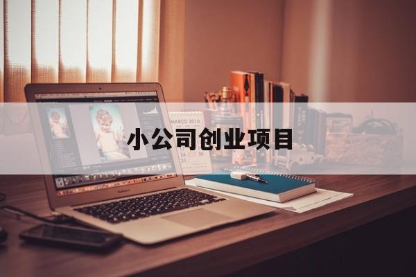 小公司创业项目(有什么创业小项目)